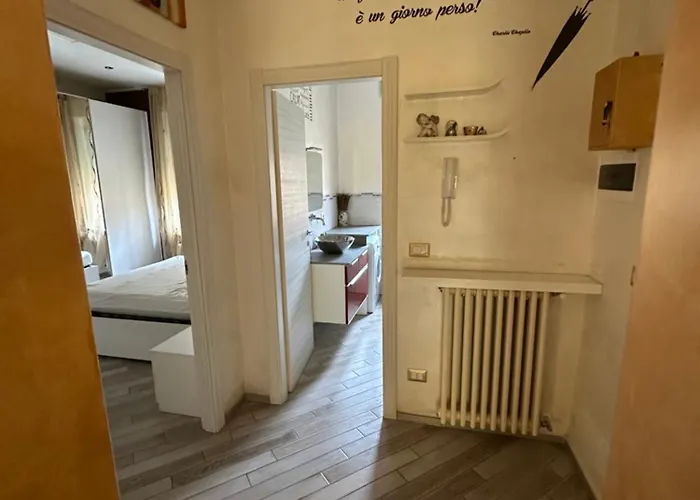 La Concordia 诺维里加雷